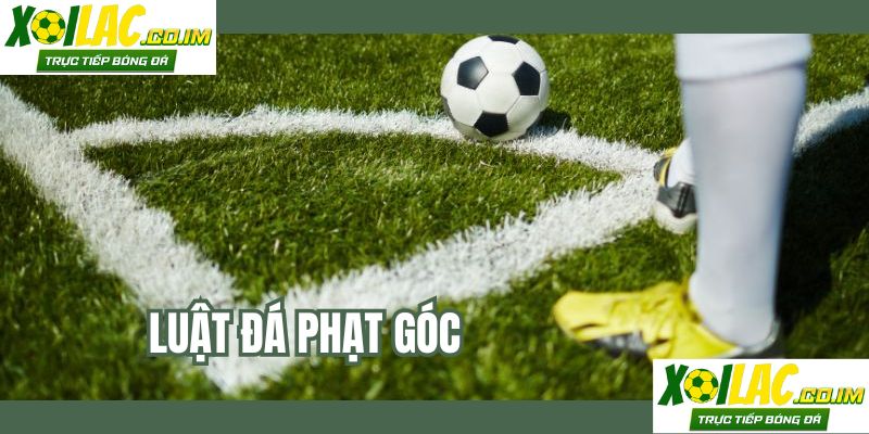 luat-da-phat-goc